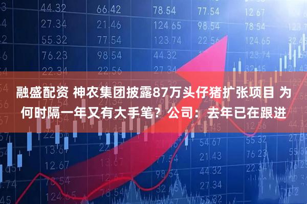 融盛配资 神农集团披露87万头仔猪扩张项目 为何时隔一年又有大手笔？公司：去年已在跟进