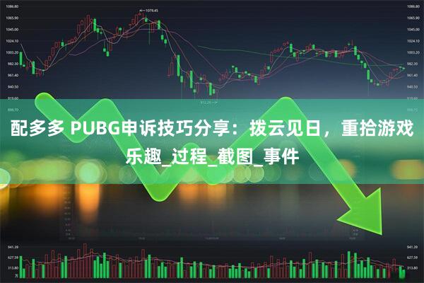 配多多 PUBG申诉技巧分享：拨云见日，重拾游戏乐趣_过程_截图_事件