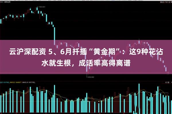 云沪深配资 5、6月扦插“黄金期”：这9种花沾水就生根，成活率高得离谱