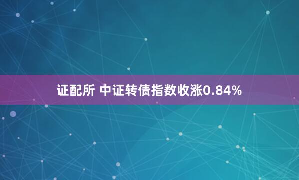 证配所 中证转债指数收涨0.84%