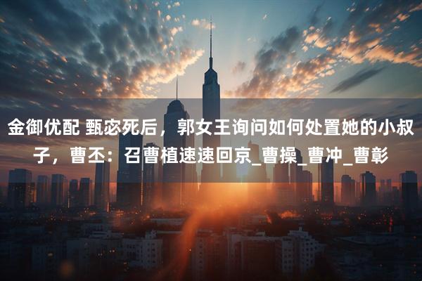 金御优配 甄宓死后，郭女王询问如何处置她的小叔子，曹丕：召曹植速速回京_曹操_曹冲_曹彰