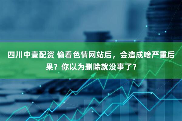 四川中壹配资 偷看色情网站后，会造成啥严重后果？你以为删除就没事了？