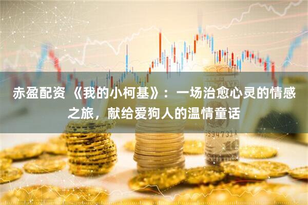 赤盈配资 《我的小柯基》：一场治愈心灵的情感之旅，献给爱狗人的温情童话