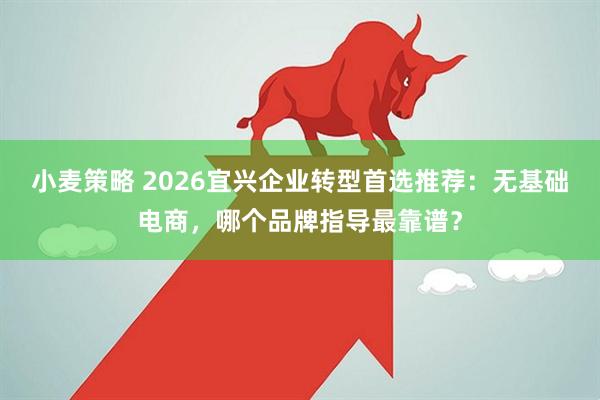 小麦策略 2026宜兴企业转型首选推荐：无基础电商，哪个品牌指导最靠谱？