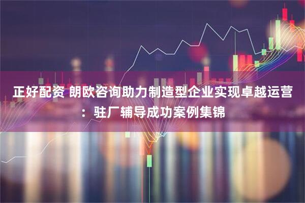 正好配资 朗欧咨询助力制造型企业实现卓越运营：驻厂辅导成功案例集锦