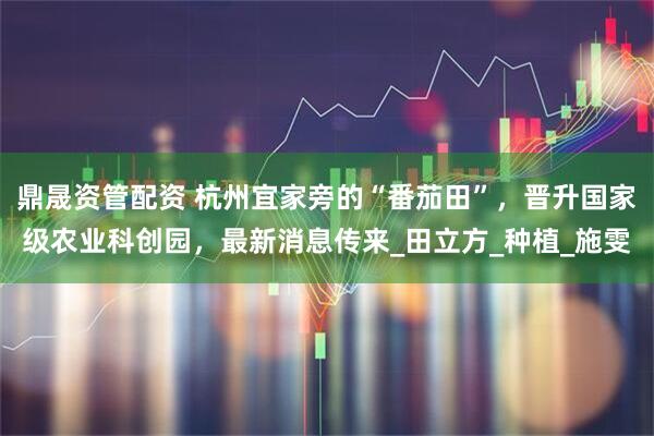 鼎晟资管配资 杭州宜家旁的“番茄田”，晋升国家级农业科创园，最新消息传来_田立方_种植_施雯