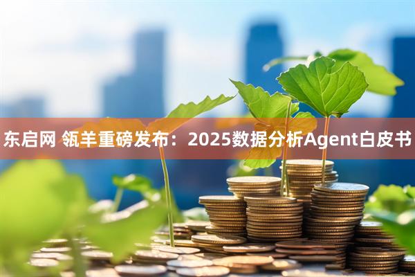 东启网 瓴羊重磅发布：2025数据分析Agent白皮书